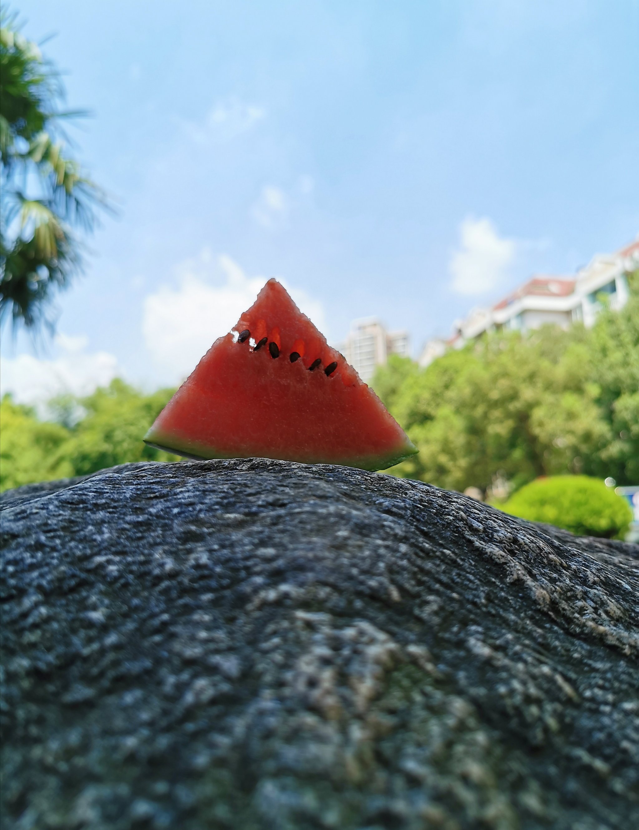 五一吃瓜(五一吃瓜莫里秀)